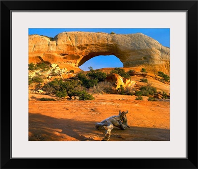 Wilson Arch, off of highway 191, made of entrada sandstone, Utah