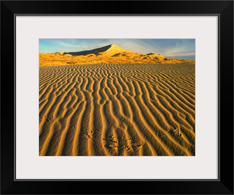 Wind ripples in Kelso Dunes, Mojave National Preserve, California