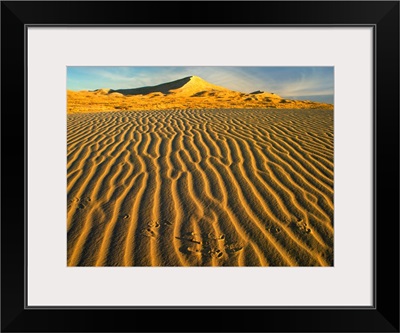 Wind ripples in Kelso Dunes, Mojave National Preserve, California