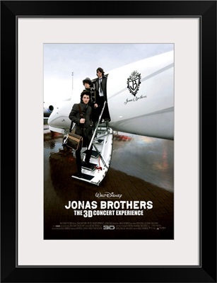 Jonas Brothers: The 3 D Concert Experience (2009)