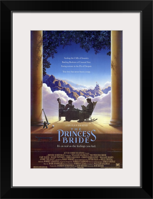 A modern update of the basic fairy tale crammed with all the cliches, this adventurously irreverent love story centers aro...