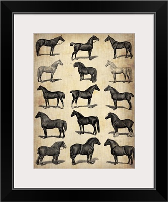 Vintage Horses Collection