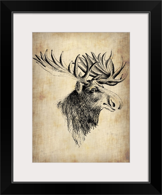 Moose, Vintage Moose, vintage art, vintage prints