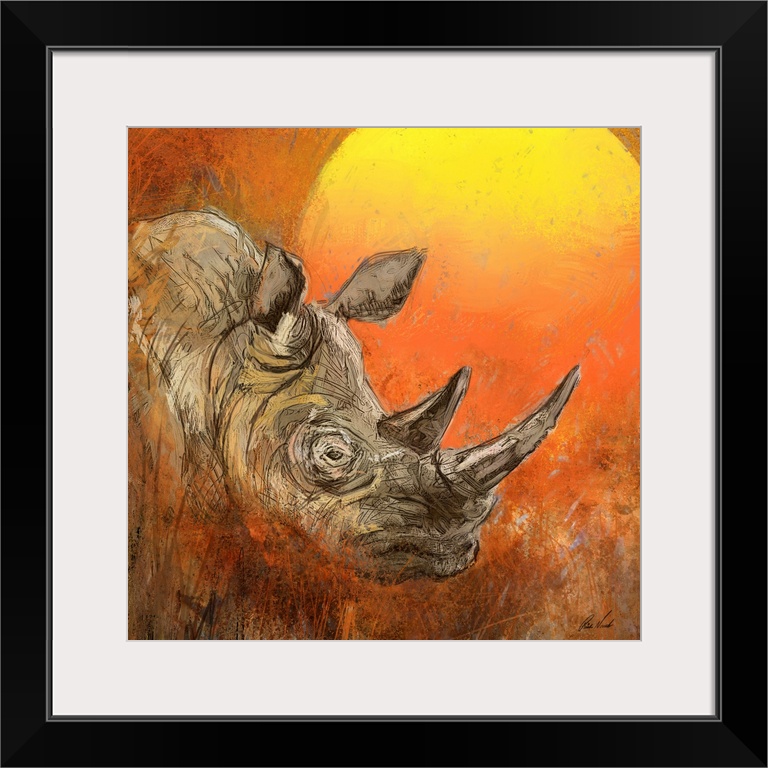 African Black Rhino