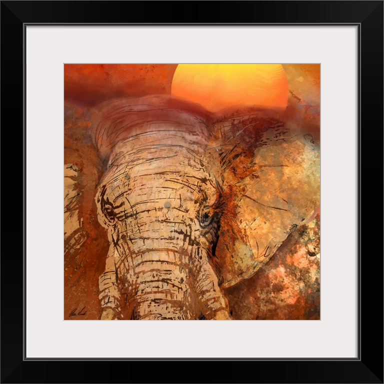 African Elephant