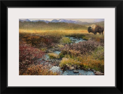 Bison And Creek