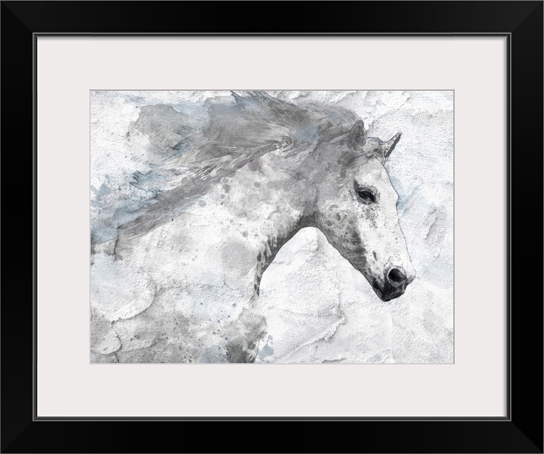 Portrait of a white horse running with its mane flowing behind it.