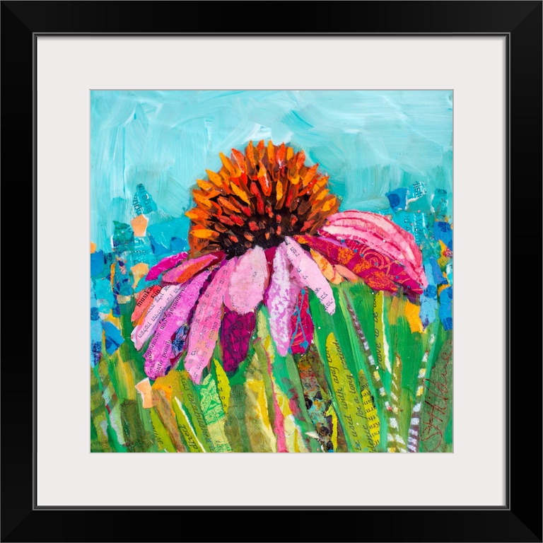 Coneflower