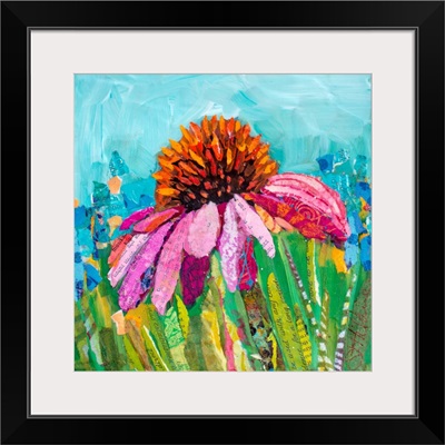 Coneflower