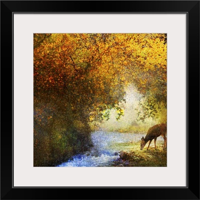 Deer By Woodland Brook