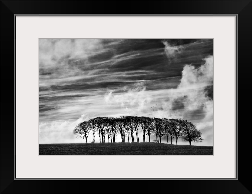 A black and white photograph using high contrast to highlight a sky filled with clouds and a small row of tree on the ground.