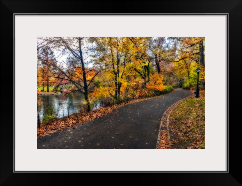 Soft-focus effect applied to fall foliage around a pathway in the northern section of Central Park.