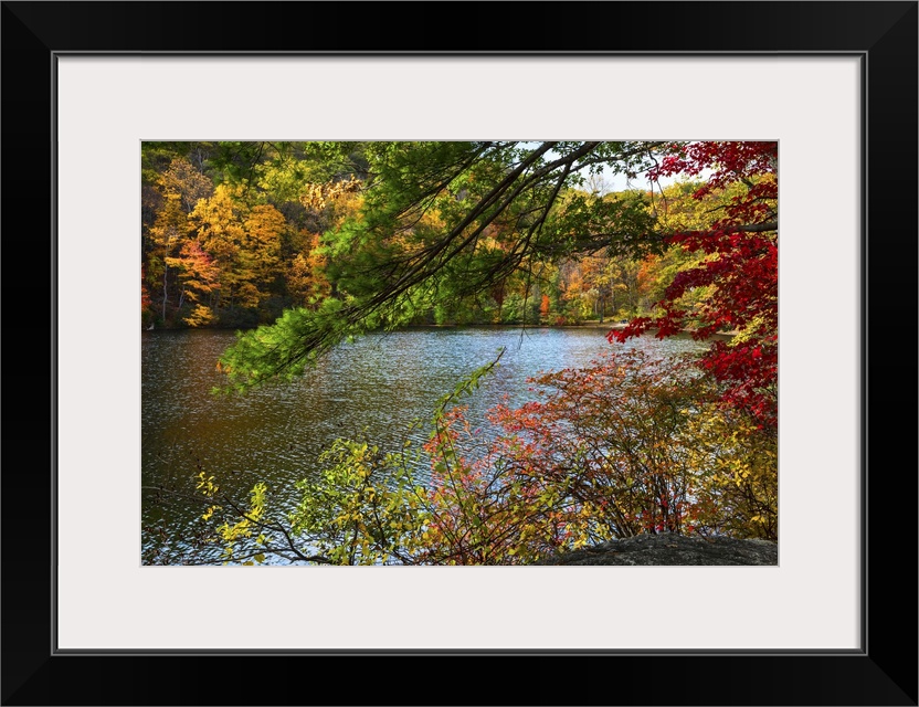 A photograph of an idyllic countryside scene during fall.