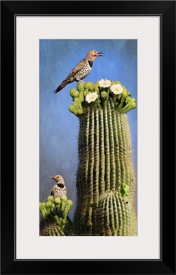 Flicker Saguaro