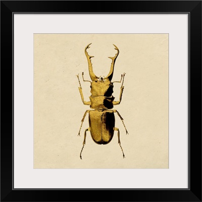Golden Beetle II