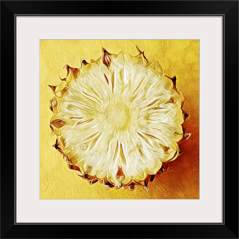 Digital fine art print of a golden pineapple, cut in half, bottom only.