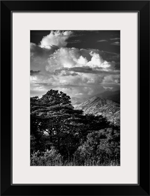 Green Mountains and Clouds Black and White