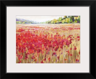 Poppies and Trees VI