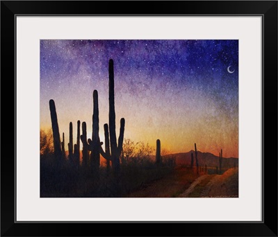 Saguaro Sunset Blue