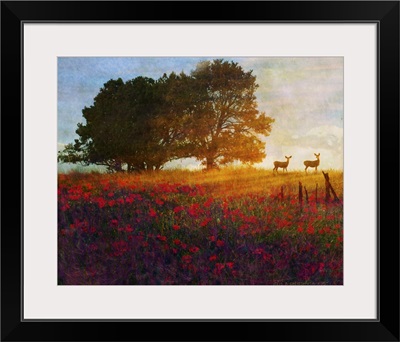 Trees Poppies and Deer II