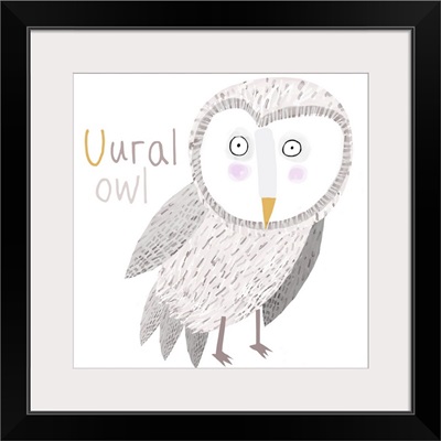 U for Ural Owl