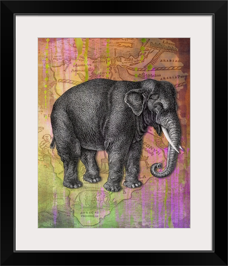 Colourful vintage effect mixed media elephant print.