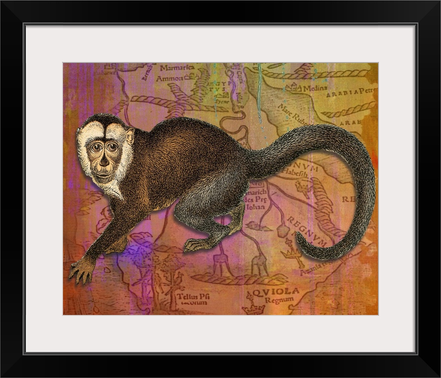 Colourful vintage effect mixed media monkey print.