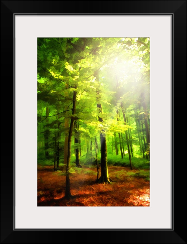 A vibrant colorful photograph of a forest with sunlight shining through the canopy.