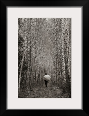 A Person Holding An Umbrella Goes For A Walk In The Forest, Washington