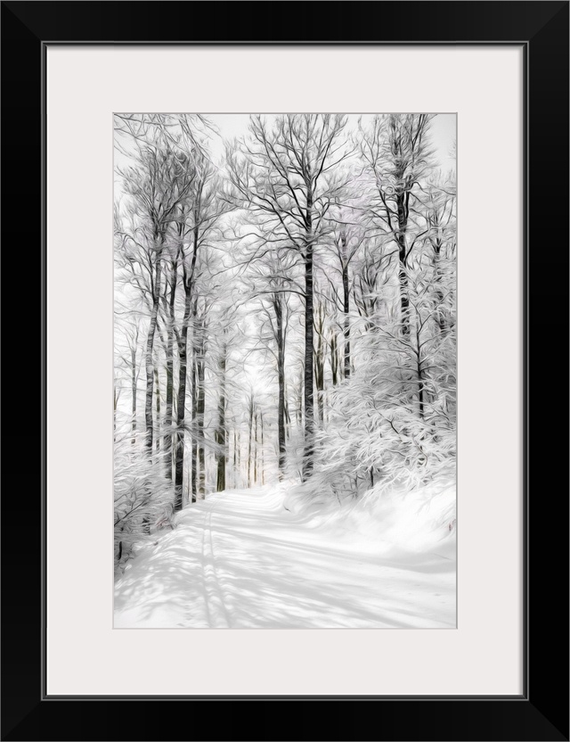 Photo Expressionism - Path in a snowy forest.