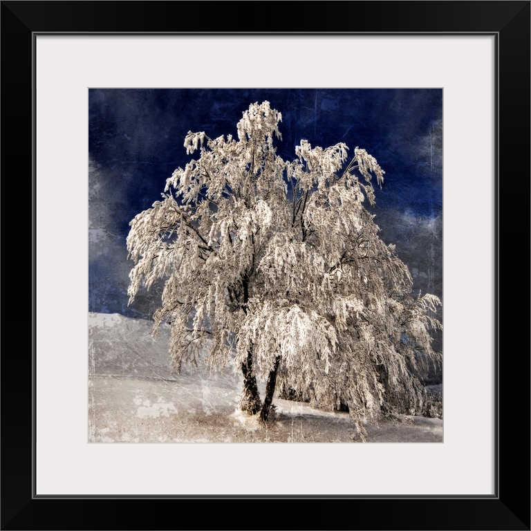 A frozen tree with a photo texture