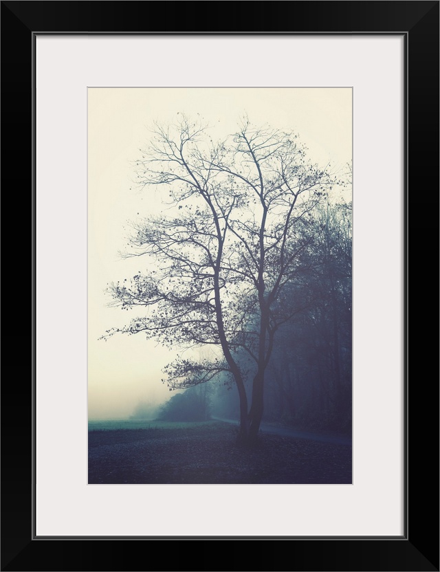 Misty morning in the countryside with a tree in the foreground.