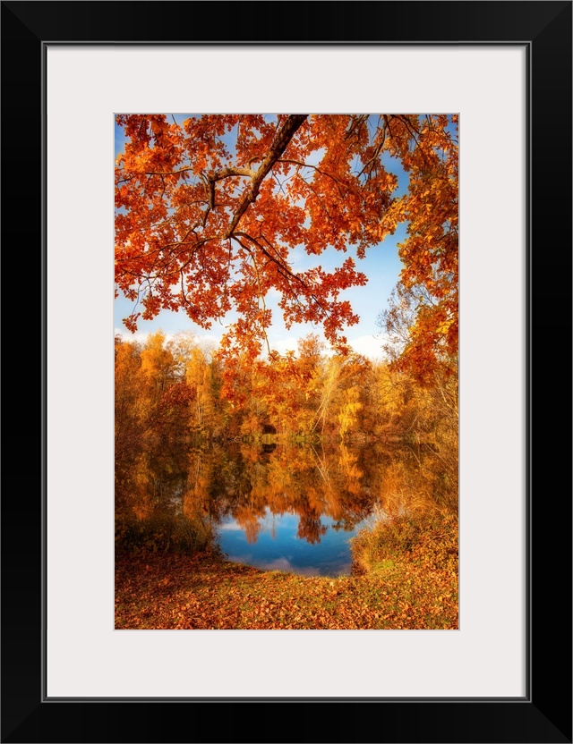 Autumn foliage along a pond