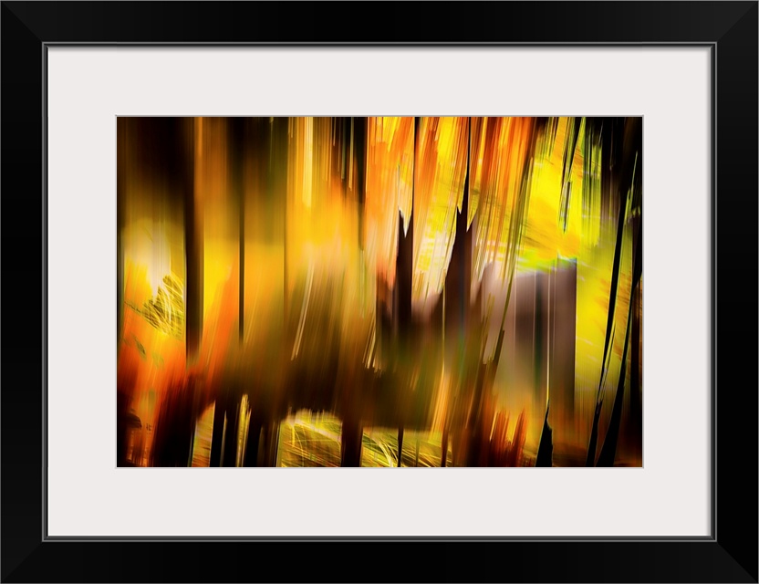 One of my own favourite images, another representation of the glory of Autumn. The image was made using the in-camera burs...