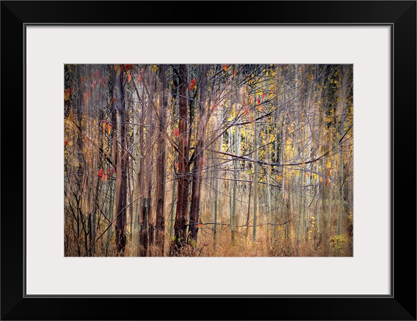 Blurred motion image of trees in fall colors.