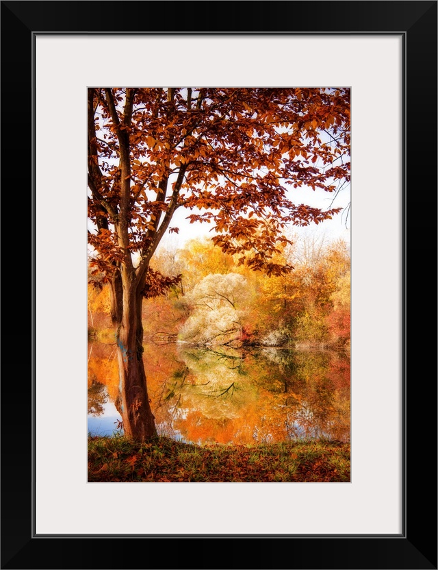 Colorful trees in autumn by a lake