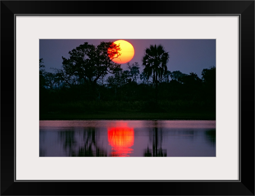 Large photograph includes the sun setting behind a group of palm and acacia trees, which are in turn reflecting over a mar...
