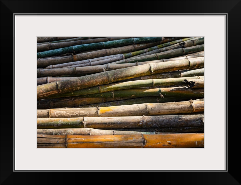 A bundle of bamboo
