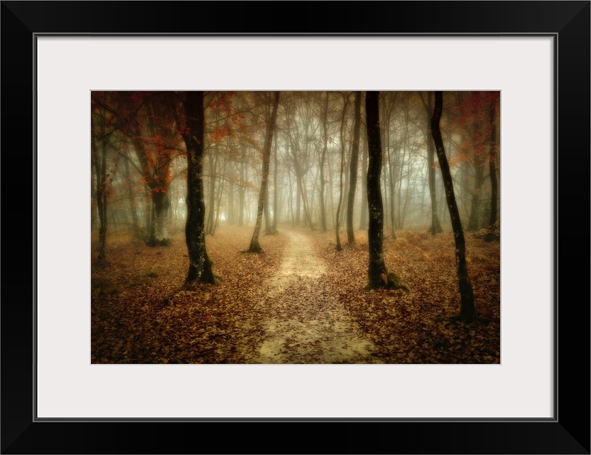 Slightly blurred photograph of dirt path in the forest that covered with fallen leaves.