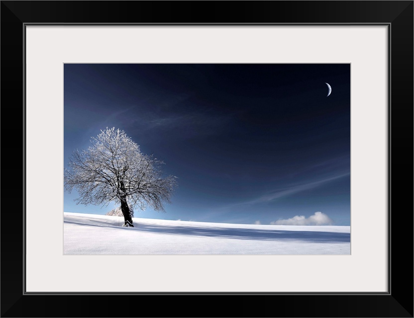 Snowy landscape with the moon