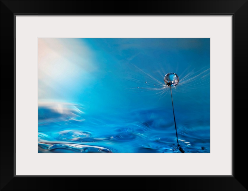 A macro photograph of a water droplet on a floral seed head, against an abstract blue background.