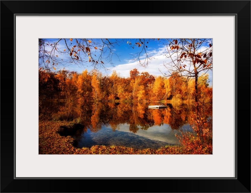 Autumn forest surrounding a lake