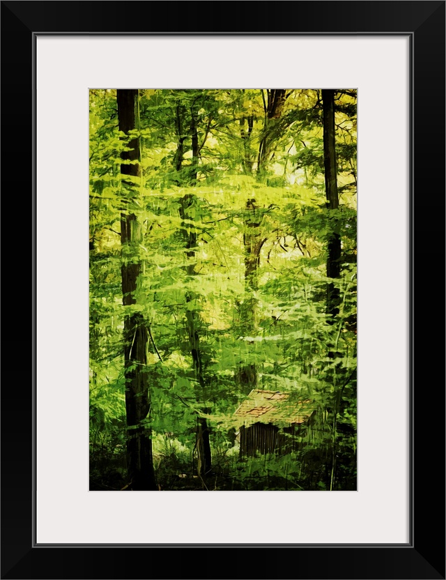 Fine art photo of cabin hidden in the green foliage of a dense forest.