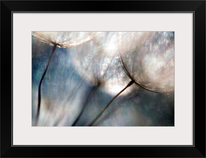 Large abstract photo shows a close-up of flowers that includes a lot of bright colors and added texture for depth.