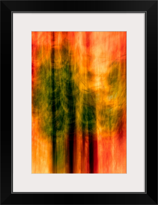 Blurred motion photograph of trees in deep red light, from Ursula Abresch's Impressionist Trees Series.