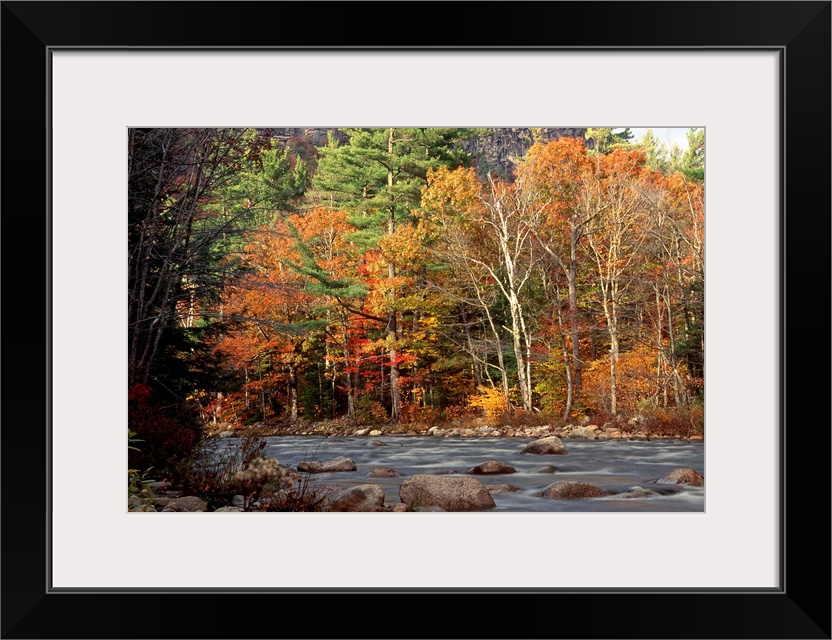 Huge photograph displays the Swift River within White Mountains National Forest in New Hampshire surrounded by a dense for...