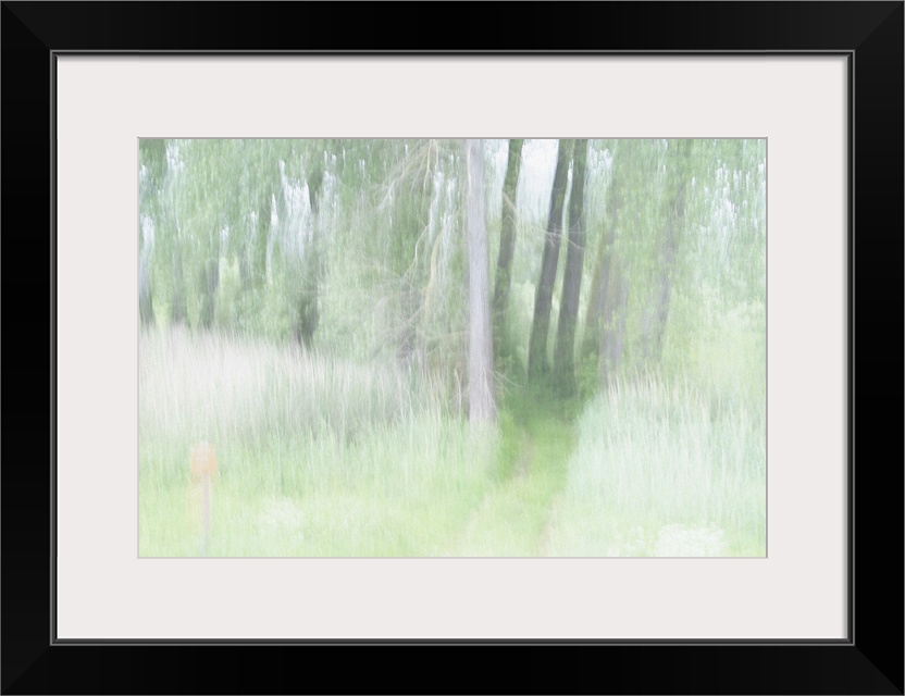 Artistically blurred photo. A bright sunny day in a forest in the nature reserve Ooijpolder near the city of Nijmegen, The...