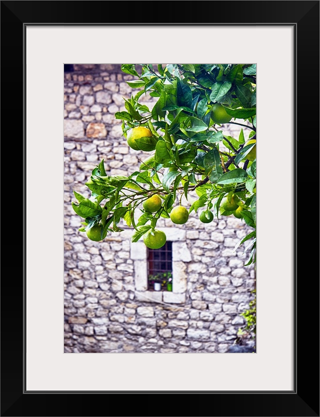 A tree with ripening lemons in front of a stone building with a small window.