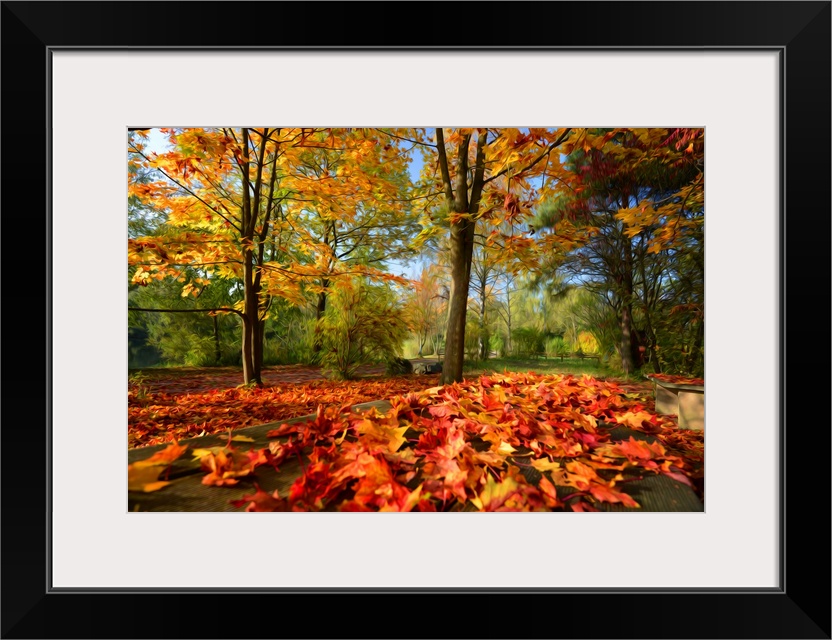 A very colorful forest in autumn