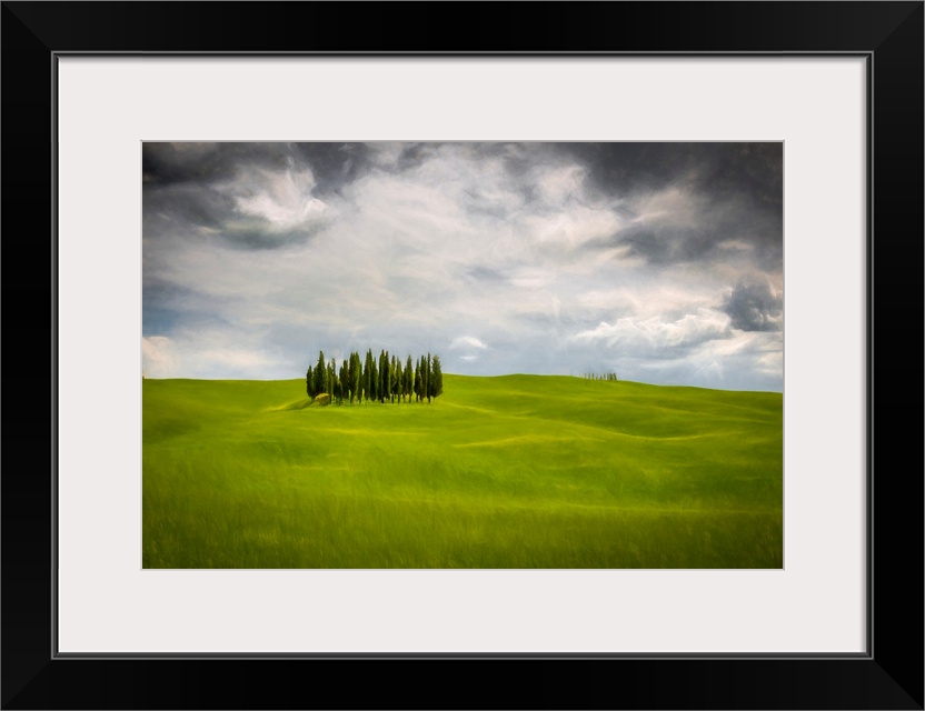 Fine art photo of a small group of trees on a hilly landscape under a cloudy sky.